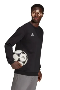Adidas Entrada 22 Sweatshirt Mit Rundhalsausschnitt -Nike || Ted Baker Shop A31437s4 scaled