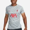 Nike Liverpool FC Pre-match T-Shirt