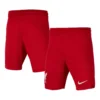 Nike Liverpool FC 23/24 Stadium Football Shorts